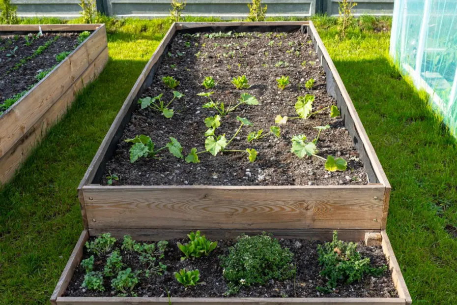 Pourquoi opter pour un carré potager haut dans votre jardin ?